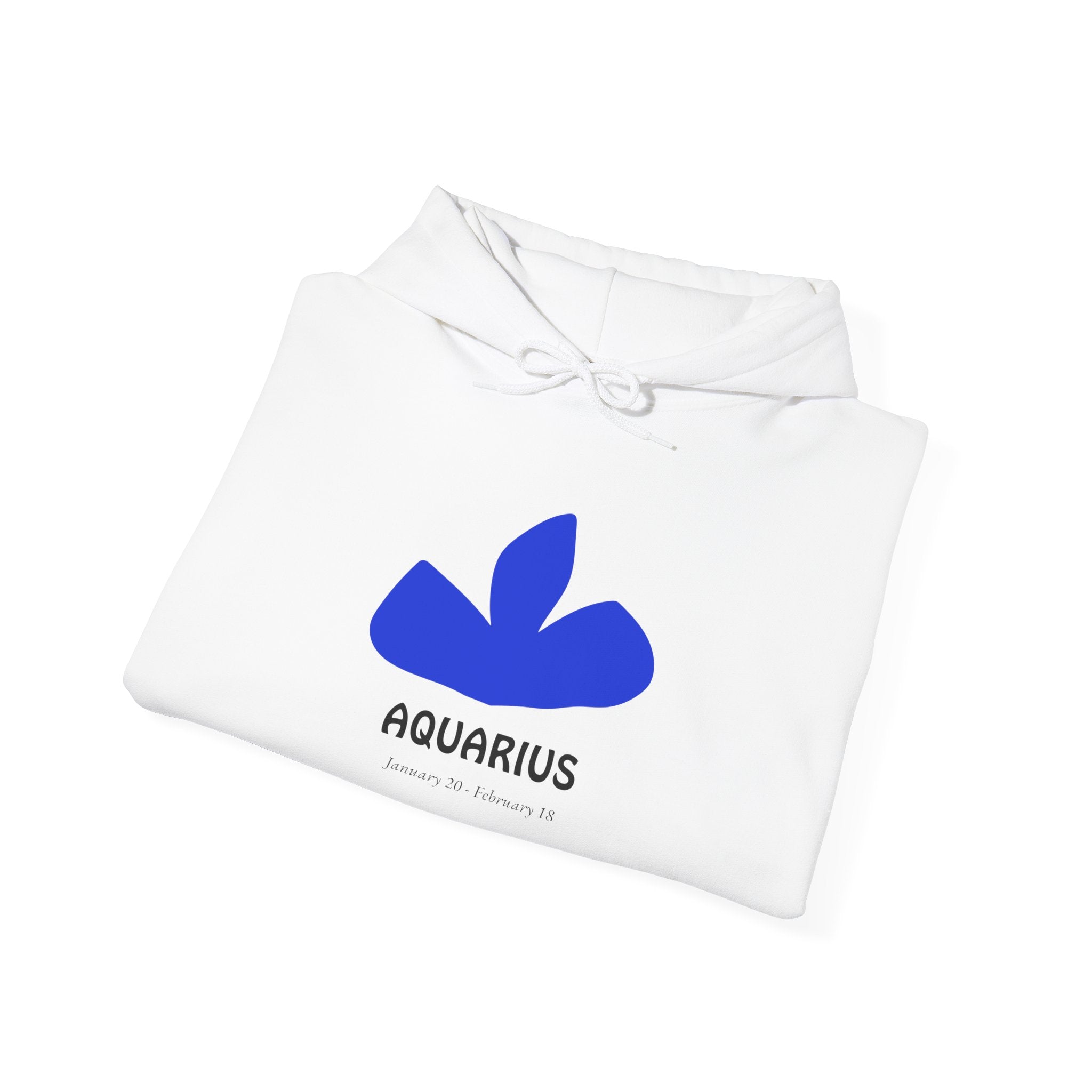 Aquarius Zodiac Hoodie — Minimal Blue Symbol Astrology Sweatshirt