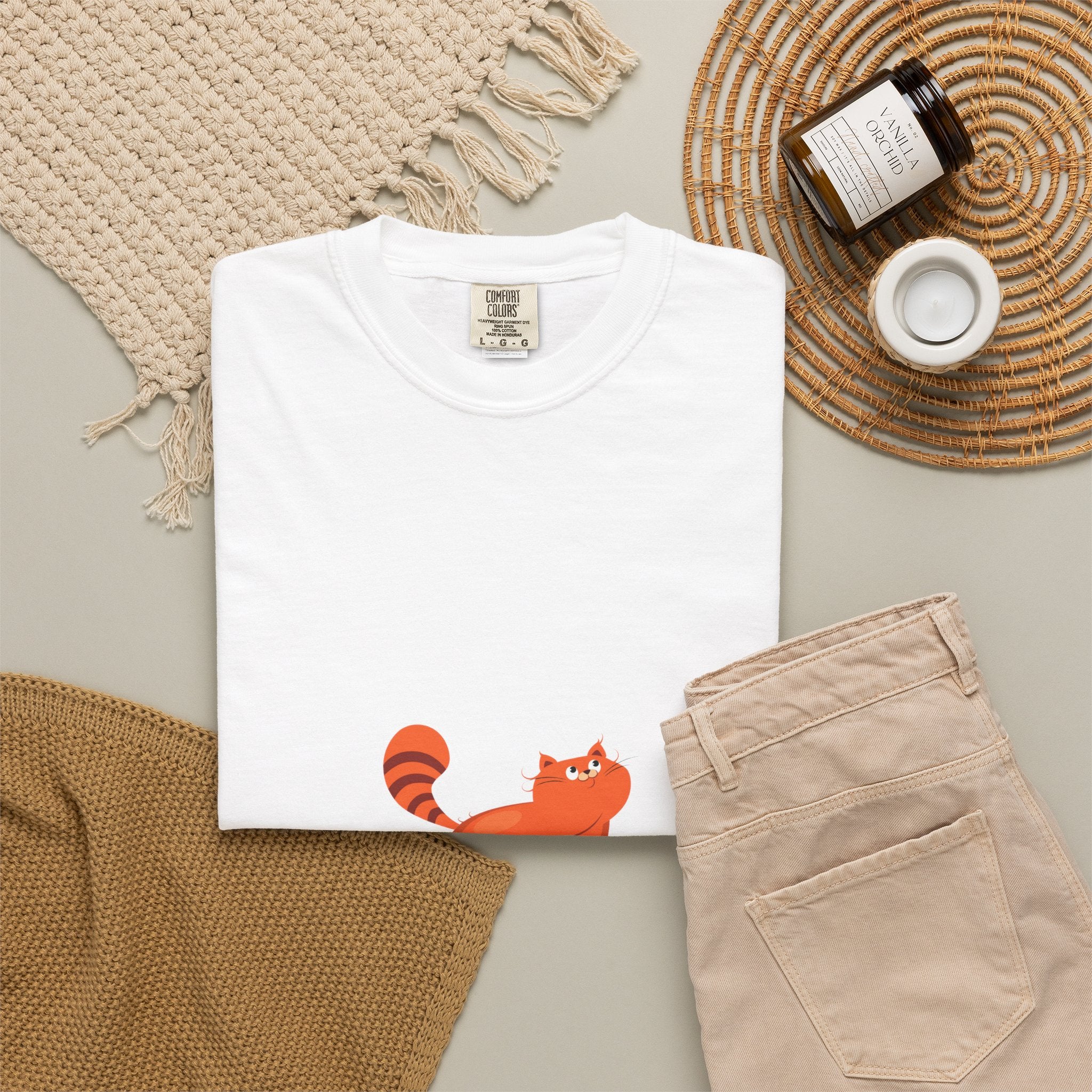 I Have a Pet Cat T-Shirt — Cute Orange Cat Graphic Tee for Cat Lovers
