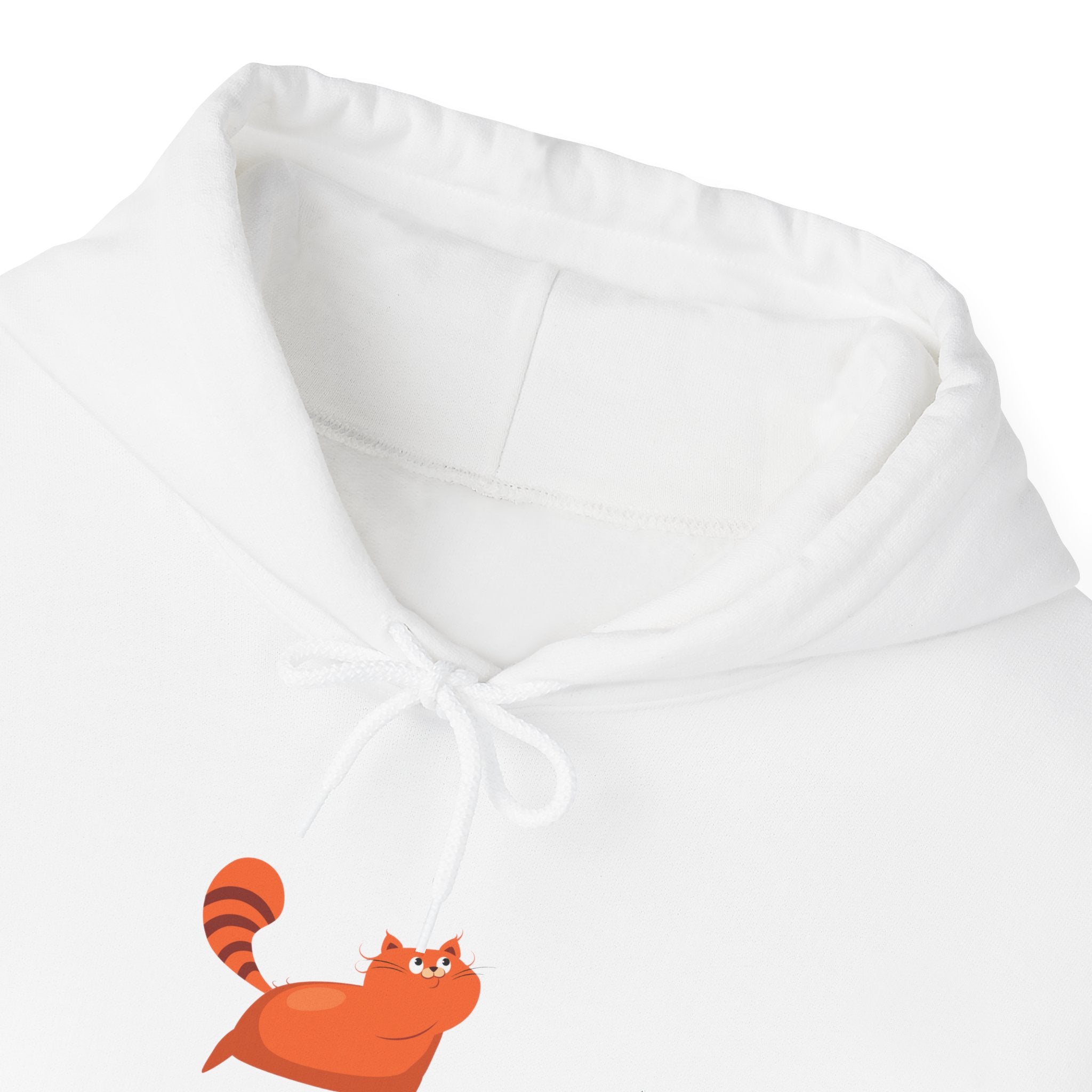 Cat Lover Hoodie – “I Have a Pet Cat” Cute Orange Cat Graphic