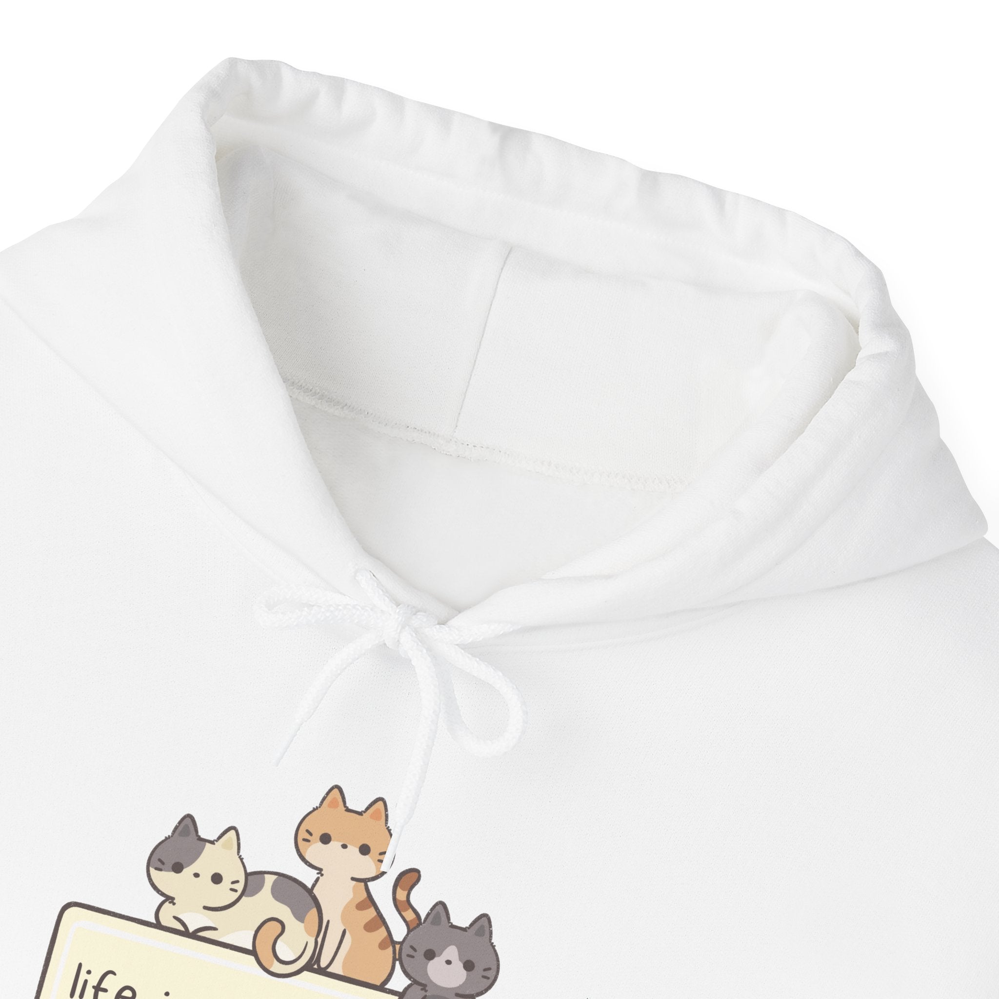 Pet Lover Hoodie - "Life Is More Colorful If You Have A Pet" Cute Cat & Dog Graphic